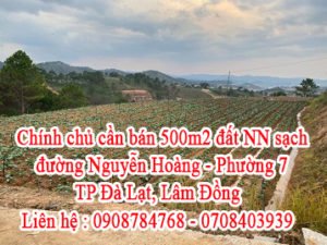 Chính chủ cần bán 500m đất NN sạch đường Nguyễn Hoàng, phường &, tp Đà Lạt, Lâm Đồng
