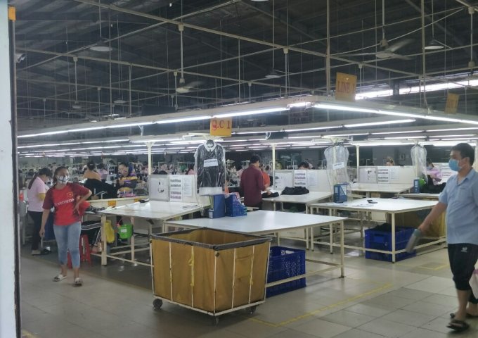 Cho thuê kho xưởng tại Thuận An