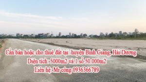 Cần bán hoặc cho thuê đất tại: huyện Bình Giang, Hải Dương