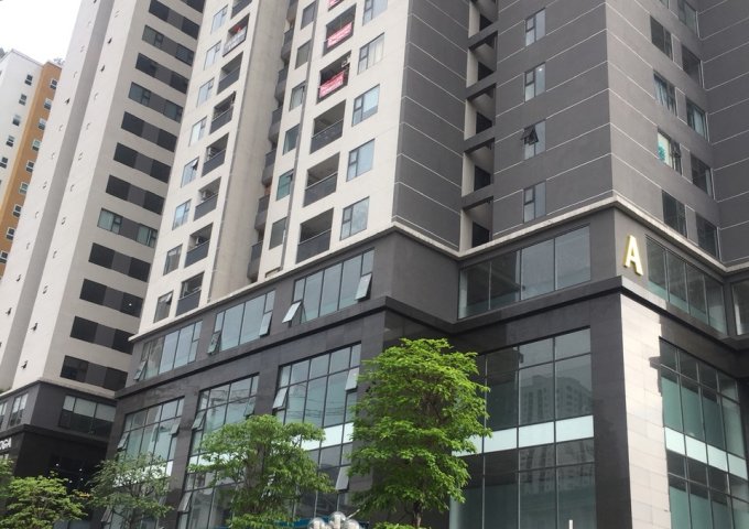 Bán chung cư Việt Đức Complex tòa A : 108m2 , 3PN , tầng đẹp, 31tr/m2
