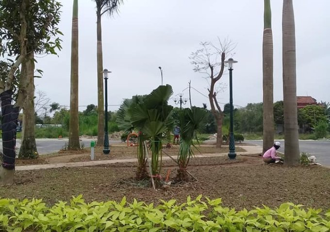 Bán lô góc vườn hoa Tân Phú Hưng, Hải Dương 82m2, vị trí cực đẹp, đông nam