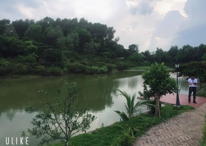 Cần bán gấp biệt thự view hồ tuyệt đẹp 3000m tại Sơn Tây Hà Nội