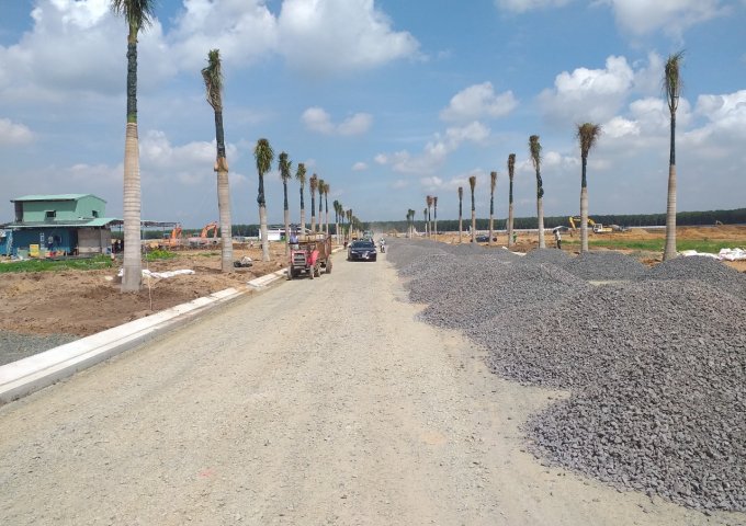 Đất nền dự án nằm ngay mặt tiền đường DT769 gần sân bay quốc tế Long Thành Đồng Nai