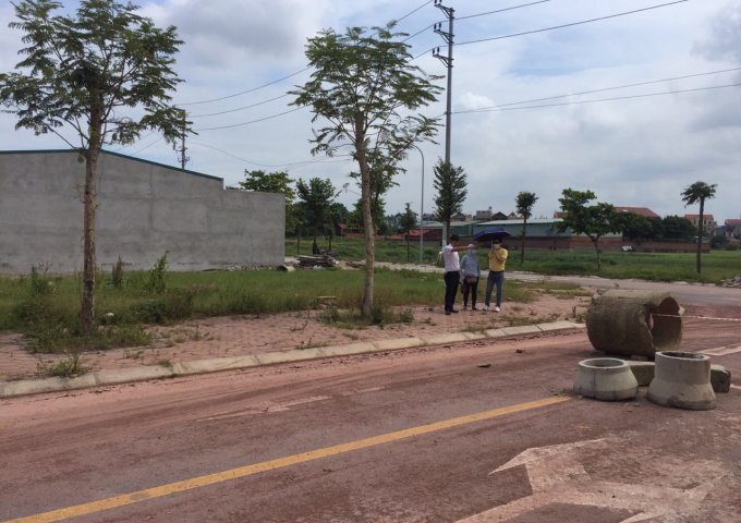 Bán đất nền dự án tại Dự án Khu đô thị Dĩnh Trì, Bắc Giang,  Bắc Giang diện tích 92m2