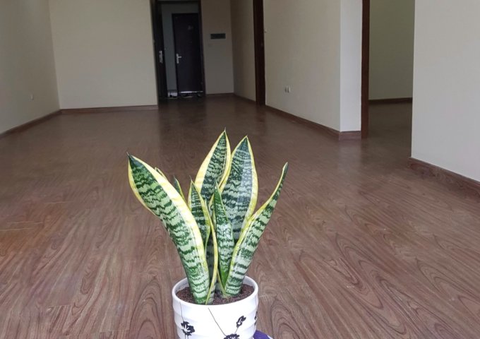 Chính chủ bán căn hộ 2PN tòa C tại Ecolife Tây Hồ, giá 2.5 tỷ. 