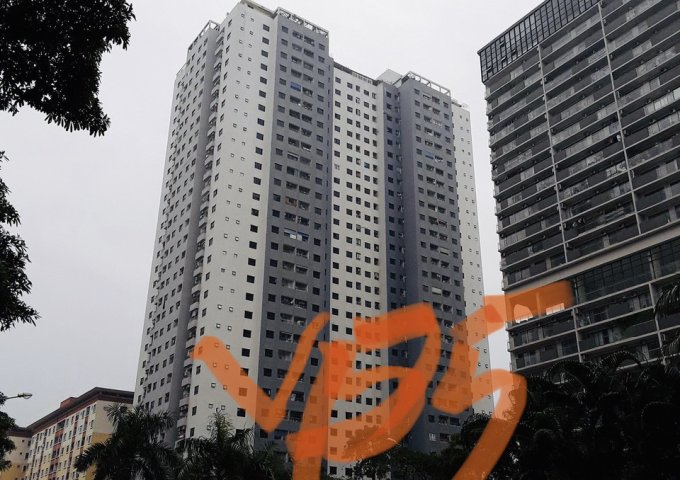 Chính chủ cần bán căn 1 phòng ngủ tòa VP5 bán đảo Linh Đàm 45m2, giá 850 triệu full nội thất, lh 0393877666