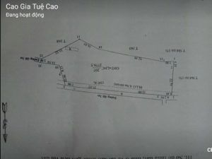 Cần bán đất chính chủ Tại: Ấp 5, xã Thiện Hưng, huyện Bù Đốp, tỉnh Bình Phước