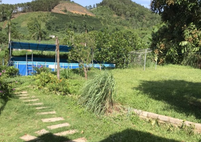 BÁN ĐẤT TẠI XÃ VÂN HÒA BA VÌ HÀ NỘI. 1317M2 CÓ 100M2 