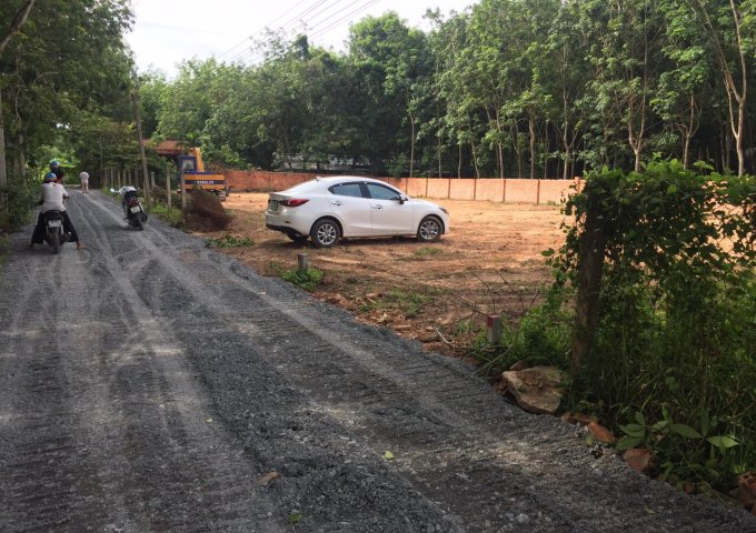 Bán lô đất sắp lên đường bê tông tại xã hiệp Thạnh huyện Gò Dầu