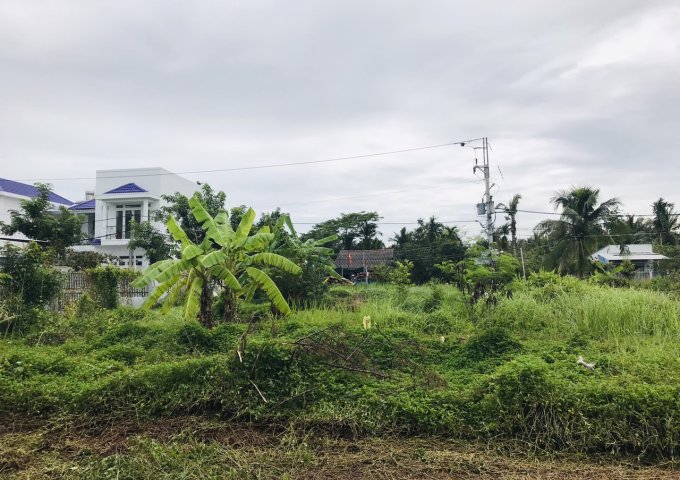 Phú Nhuận Tp Bến Tre 55m2🔵 thổ cư toàn bộ quy hoạch đất ở nông thôn