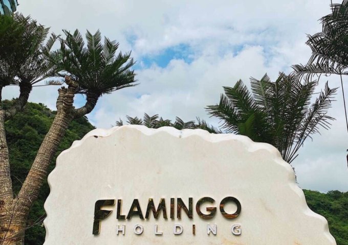 Chính chủ bán căn Condotel, full nội thất 5*, giá rẻ dự án Flamingo