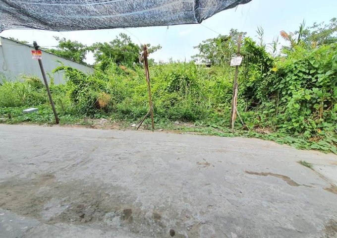 Bán đất nền hẻm Lò Mổ, đường Nguyễn Văn Cừ, An Khánh, Ninh Kiều, Cần Thơ - Tặng GPXD chính.