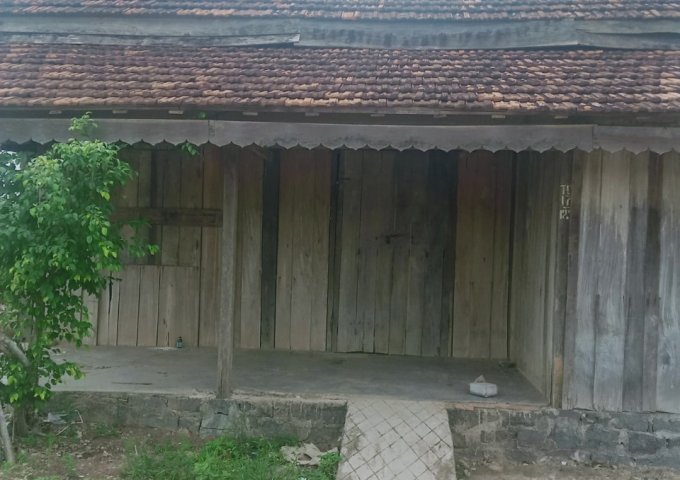 Bán nhà gỗ 2, 3, 5 gian làm nhà ở, quán cafe ở TT Ea T-Ling, Cư Jút