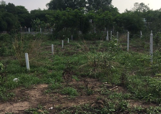 Chính chủ cần bán nhà vườn giá rẻ tại huyện Củ Chi, Tp HCM.