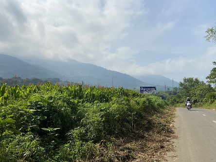Chính chủ cần bán 43m mặt đường ĐT415 tại thôn Hợp Sơn - Xã Ba Vì - Huyện Ba Vì – HN.