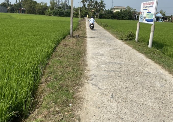 Bán đất tại Phú Mậu, Phú Vang, Huế diện tích 143m2  giá 850 Triệu