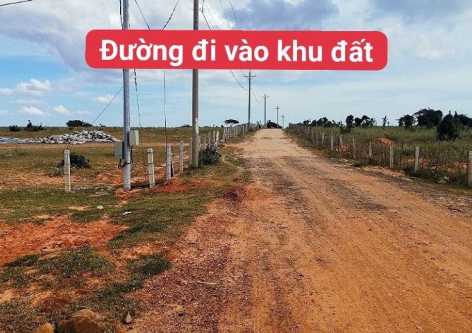 Bán đất đầu tư huyện Bắc Bình Bình Thuận, giá chỉ 500tr/1ha