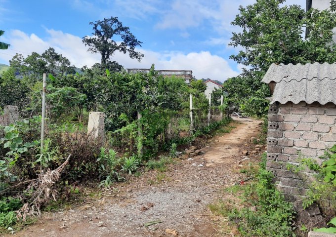 Bán nhà đất ở trung tâm xã Phiêng Luông, Mộc Châu, Sơn La.