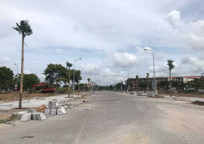 Bán đất dự Dương Kinh New City Hải Phòng