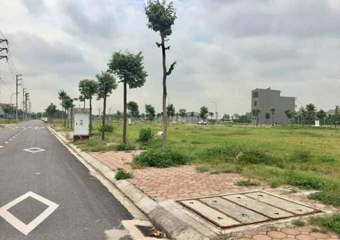 Bán đất dự Dương Kinh New City Hải Phòng