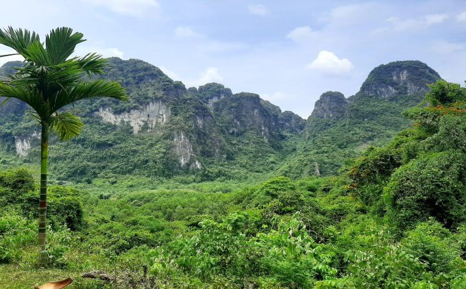 Cần bán 24ha đất sinh thái đồi bát úp tại Tân Vinh Lương Sơn