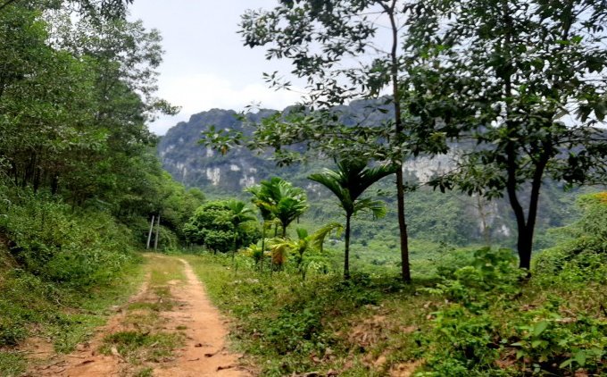 Cần bán 24ha đất sinh thái đồi bát úp tại Tân Vinh Lương Sơn