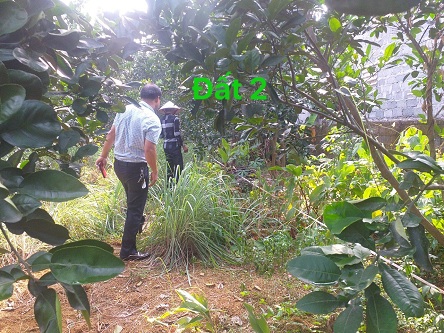 Cần bán đất tại thuộc xã Hòa Thạch, huyện Quốc Oai, thành phố Hà Nội.