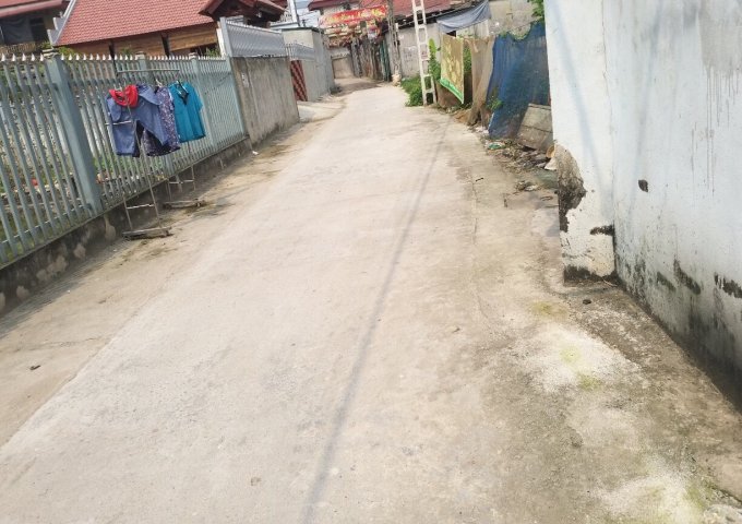 Bán đất Bích Hòa Thanh Oai cạnh khu đấu giá giá bán 18,5tr/m DT 83,6m đường rộng ô tô vào nhà -  0865458226