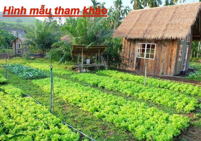 Bán đất lô đất làm trang trại,trồng trọt xã Suối Tiên-huyện Diên Khánh-Nha Trang