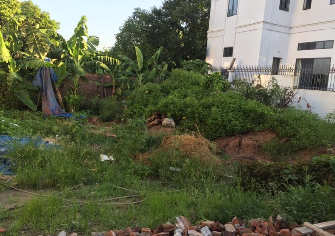 BÁN ĐẤT YÊN MỸ, DƯƠNG QUANG, GIA LÂM