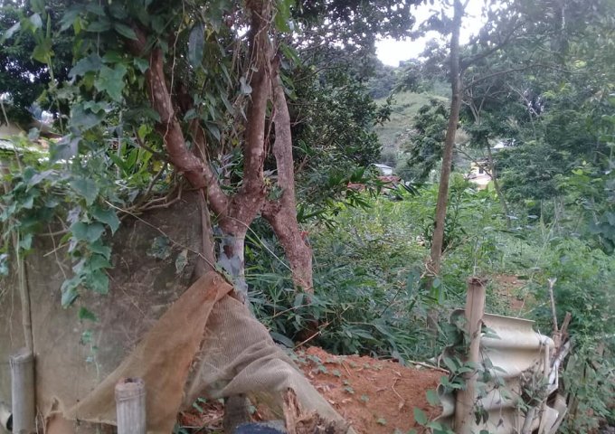 Bán mảnh đất vườn thuộc Bản Bó Cón, phường Chiềng An, TP Sơn La