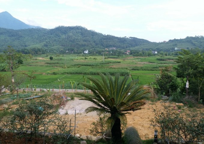1817m2 có 150m ont khuôn viên nhà vườn hoàn chỉnh,view cánh đồng Yên Bài,Ba vì, Hà Nội 