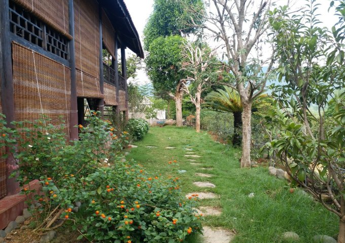 1817m2 có 150m ont khuôn viên nhà vườn hoàn chỉnh,view cánh đồng Yên Bài,Ba vì, Hà Nội 