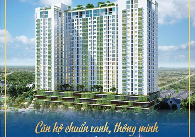 Ecolife riverside - căn hộ hộ đáng sống nhất Quy Nhơn