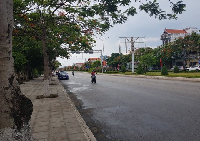 Bán đất ngõ Nguyễn Hữu Cầu, Đồ Sơn ô tô vào nhà chỉ 550 triệu 