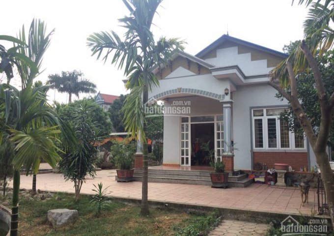 Bán ngôi nhà vườn tại Bàng La, Đồ Sơn, Hải Phòng