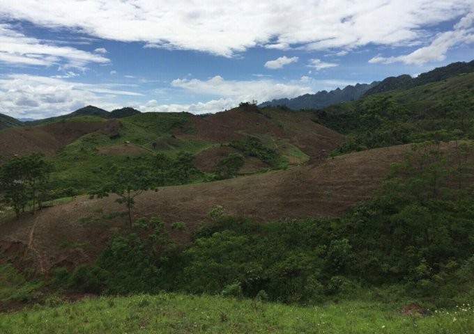 20ha đất rừng sản xuất phù hợp làm trại lơn, nông nghiệp công nghệ cao, Homstay tại Lạc Thủy Hòa Bình