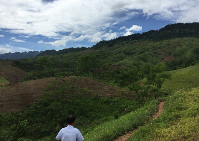 20ha đất rừng sản xuất phù hợp làm trại lơn, nông nghiệp công nghệ cao, Homstay tại Lạc Thủy Hòa Bình