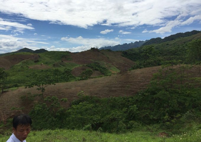 20ha đất rừng sản xuất phù hợp làm trại lơn, nông nghiệp công nghệ cao, Homstay tại Lạc Thủy Hòa Bình