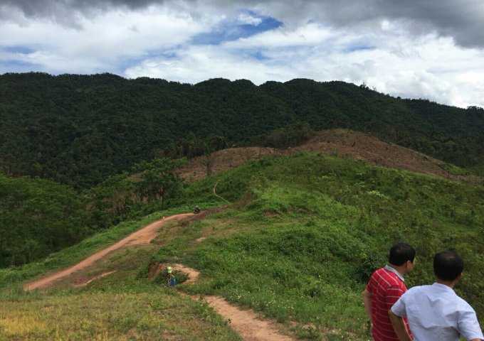 20ha đất rừng sản xuất phù hợp làm trại lơn, nông nghiệp công nghệ cao, Homstay tại Lạc Thủy Hòa Bình