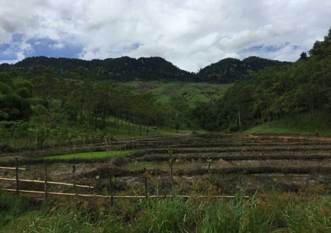 20ha đất rừng sản xuất phù hợp làm trại lơn, nông nghiệp công nghệ cao, Homstay tại Lạc Thủy Hòa Bình