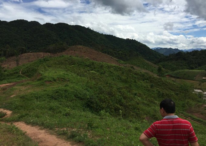 20ha đất rừng sản xuất phù hợp làm trại lơn, nông nghiệp công nghệ cao, Homstay tại Lạc Thủy Hòa Bình