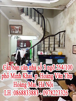 Cần bán căn nhà số 3 ngõ 254/100 phố Minh Khai, phường Hoàng Văn Thụ , Hoàng Mai, Hà Nội.