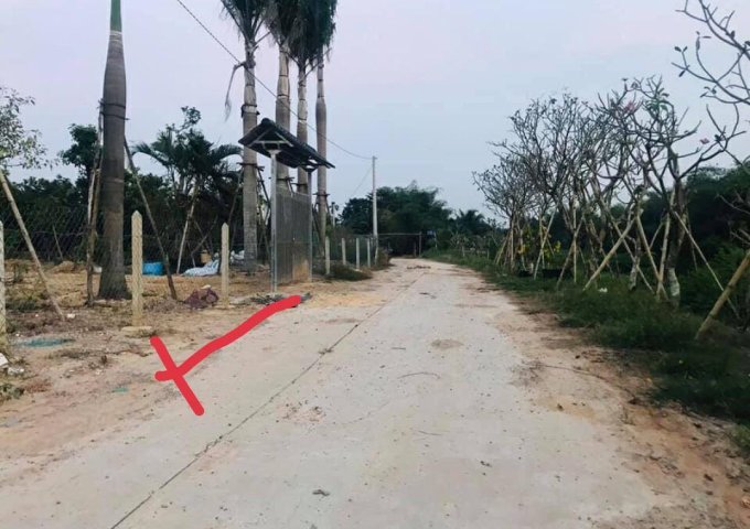 Bán đất tại Đường An Thạnh 31, Thuận An,  Bình Dương diện tích 300m2  giá 3.65 Tỷ