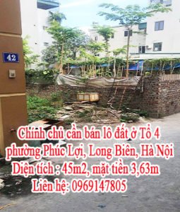 Chính chủ cần bán lô đất ở Tổ 4, phường Phúc Lợi, quận Long Biên, thành phố Hà Nội