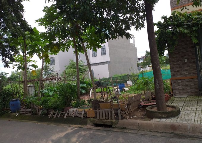 CẦN BÁN NHANH LÔ ĐẤT THỔ CƯ 100%, SHR , TẠI KHU ĐÔ THỊ MỚI BÌNH NGUYÊN PHƯỜNG BÌNH AN, THÀNH PHỐ DĨ AN, TỈNH BÌNH DƯƠNG, LH : 0983846465