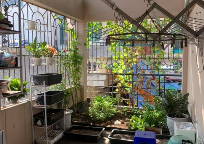 CHÍNH CHỦ BÁN NHÀ 5B NGÁCH 16 NGÕ 10 LÁNG HẠ, ĐỐNG ĐA, HÀ NỘI