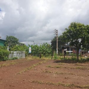 Chính chủ cần bán 4,8 Sào Nhà và Đất Mặt Tiền Y Ngông - huyện CưMGar- tỉnh Đắk Lắk