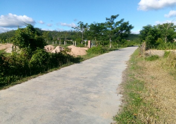 CHÍNH CHỦ BÁN NHANH 2 LÔ ĐẤT GIÁ RẺ TẠI TÂY THUẬN, TÂY SƠN ,BÌNH ĐỊNH . LH 086.248.3090