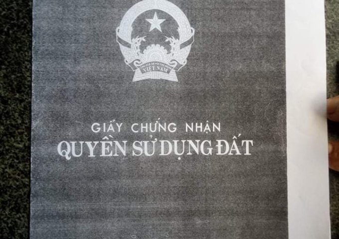 CẦN BÁN ĐẤT TRỒNG CÂY LÂU NĂM TẠI SƠN NGUYÊN THÔN NGUYÊN CAM, HUYỆN SƠN HOÀ, PHÚ YÊN